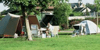 Camping municipal La Plage, Frankrijk