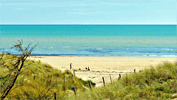 Camping Camp�ole - Les Amis De La Plage, Frankrijk