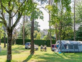 Camping Les Pins Haguenau