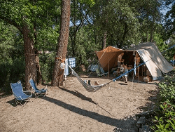 Camping Paradis des Pins à Soulac