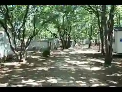 Camping Les Chênes Blancs