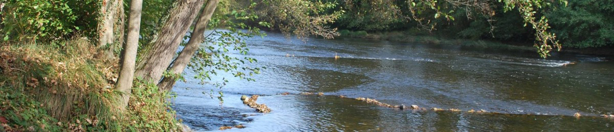 Kamperen in de Allier