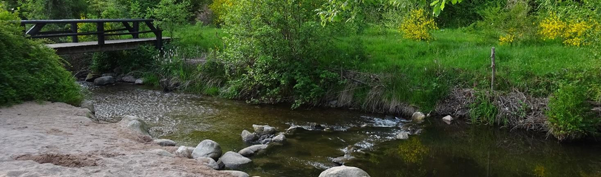 Kamperen in het depertement Vosges