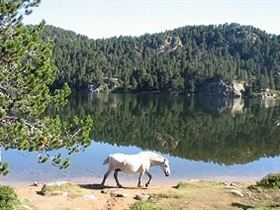 Camping L&apos;Enclave