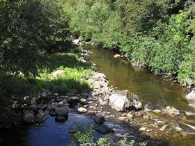 Camping Les Murmures du Lignon