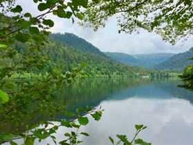 Vakantiepark Domaine La Chaumière