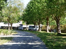 Camping Les Acacias - Ile de Re