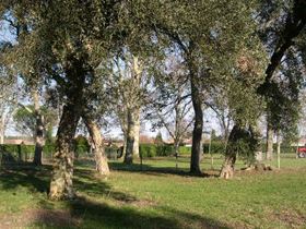Camping Aire Naturelle Au Breut