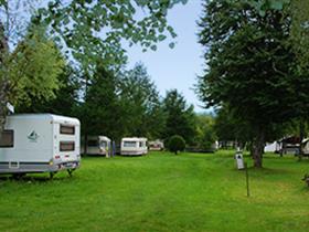 Camping Municipal Benelux Bâle