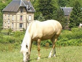 Camping à La Ferme Le Moulin des Sablons