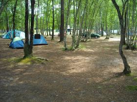 Camping Les Fougères Lacanau