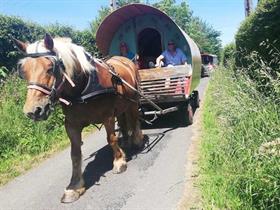 Camping à La Ferme de Caroline