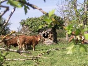 Camping à La Ferme des Tronques