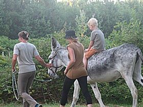 Camping a La Ferme Le Petit Paradis