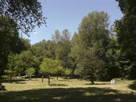 Camping des Bruyeres