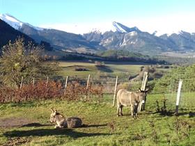 La Poulânerie