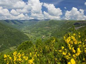 Camping Municipal Saint Martin sous Vigouroux