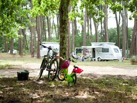 Camping Aire Naturelle La Téouleyre