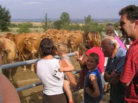 SVR Camping Moulin de Liort