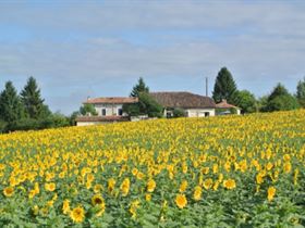 Camping La Ferme Chez Sarrazin