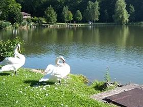 Camping L'Arc en Ciel