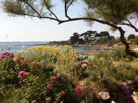 Camping de La Pointe du Talud