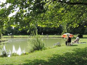 Camping Municipal L'Etang