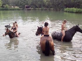 Camping à La Ferme Equestre Equiloisirs