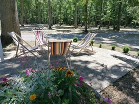 Camping Municipal de La Fôret
