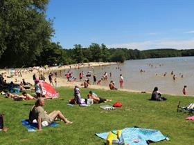 Camping de La Forêt