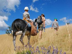 Camping à La Ferme de Bamboul'âne