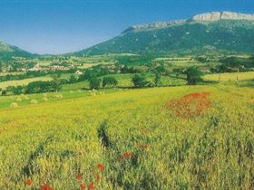 Camping Les Guérins