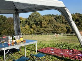Camping à La Ferme Les Animaux du Bois