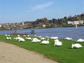 Camping Parc Beaujolais