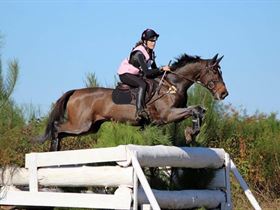 Camping Centre Equestre Ous Pins