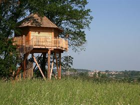 Cabanes Perchées dans Les Arbres