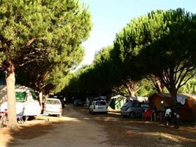 Camping à La Ferme Chez Marcel