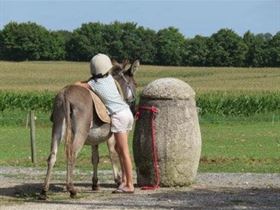 Camping Ezelboerderij La Bistandille