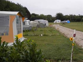 Camping à La Ferme Haras Dangueville - Le Trotteur