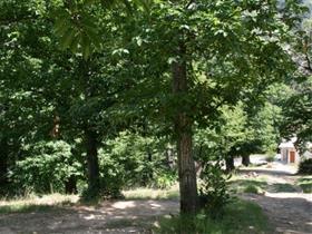 Camping à La Ferme du Seuillet