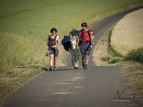 Camping à La Ferme Le Pas d'Âne