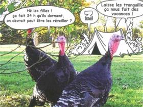 Camping à La Ferme de La Tour