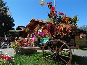 Camping Municipal Les Genêts