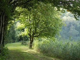 Camping Municipal L'Orée de La Reine