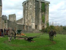 Camping à La Ferme Ecurie Leseigneur