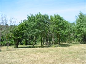 Camping à La Ferme Le Logis des Vendangeurs