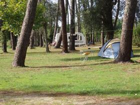 Camping Aire Naturelle Lassalle