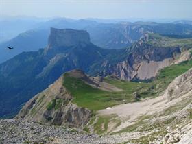 Camping des Myrtilles