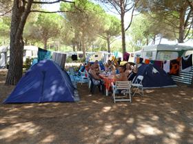 Camping Familial Les Mûriers