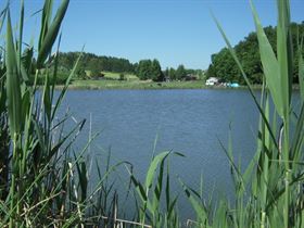 Camping de L'Étang d'Oberwiese